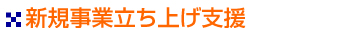 新規事業立ち上げ支援